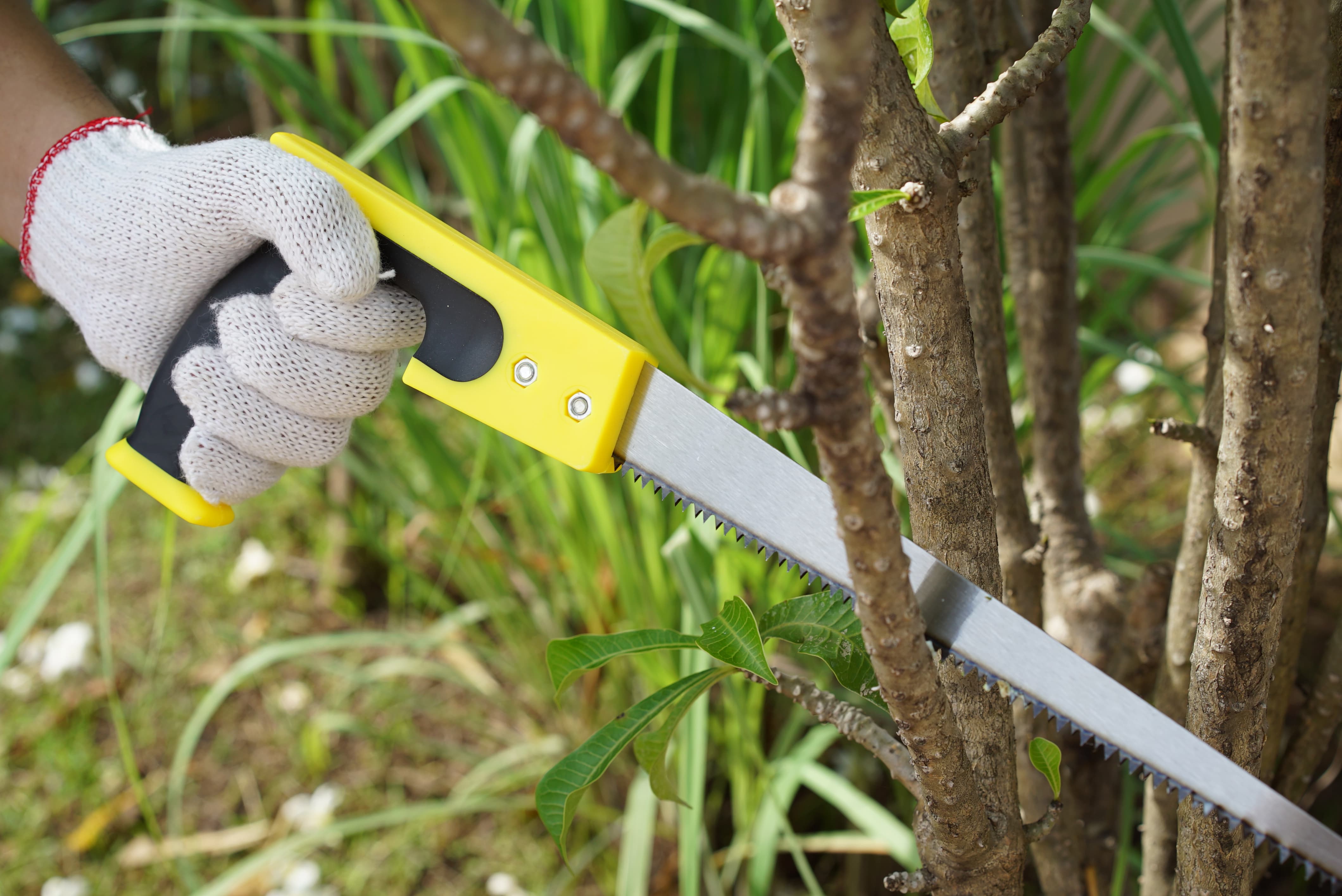Садовая ножовка для обрезки деревьев