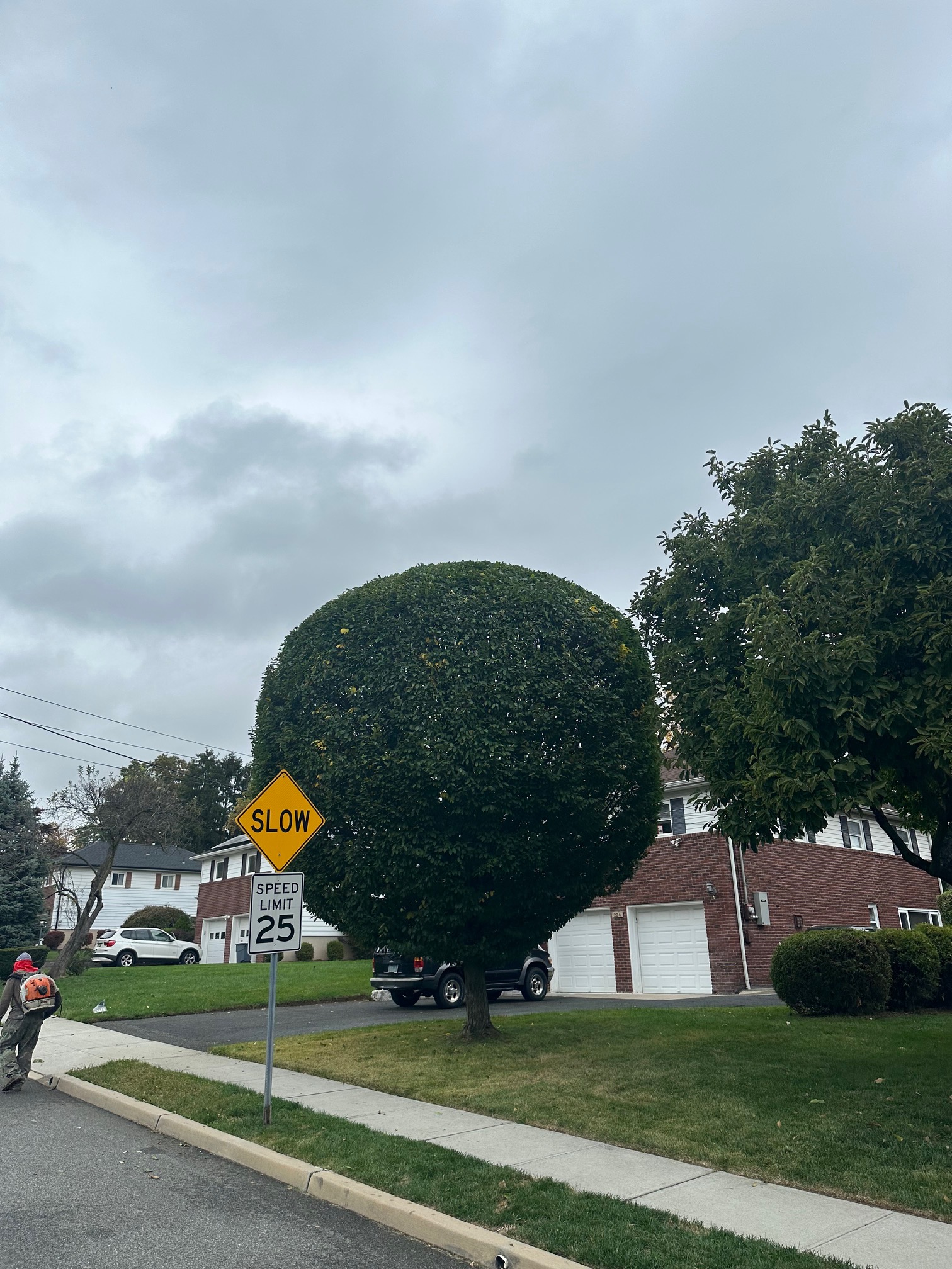 Tree Pruning 2