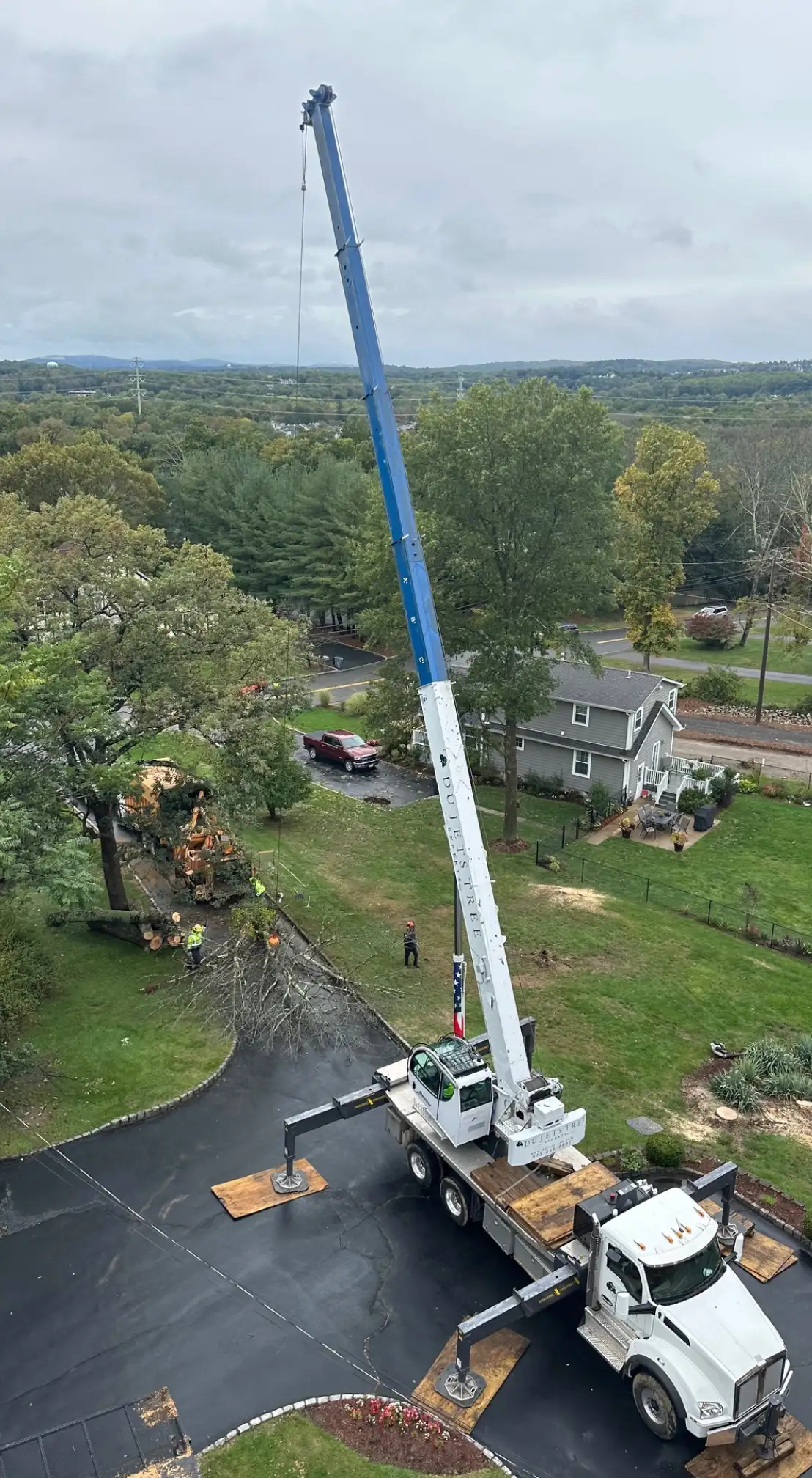 Tree Pruning and Trimming