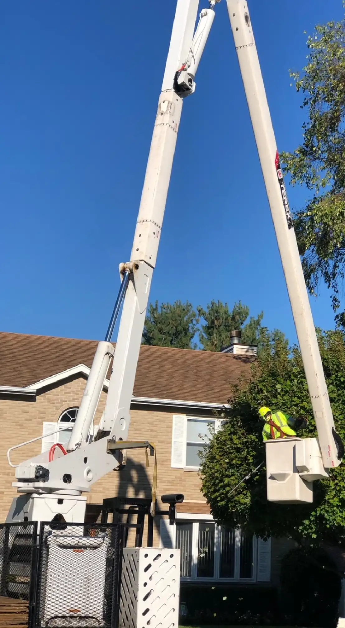 Tree Pruning and Trimming