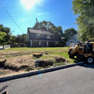Stump Grinding 2