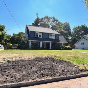 Stump Grinding 3
